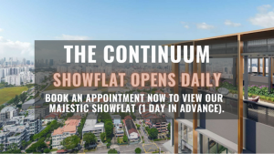 the continuum book showflat appointment